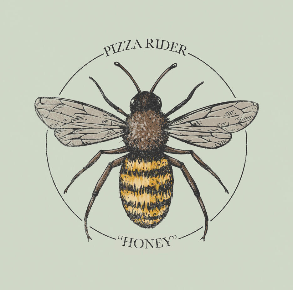 Album Art / Illustration